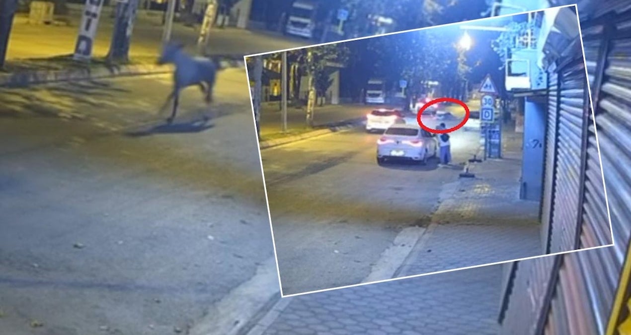 adanada bir garip kaza at karsidan gelen araca carpti 3ecISj3y