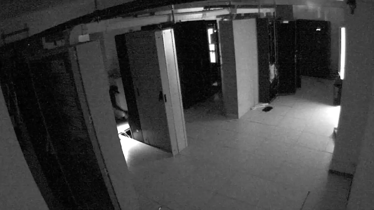 adanada gunes enerji santralinde hirsizlik M1CvKOHt.jpg