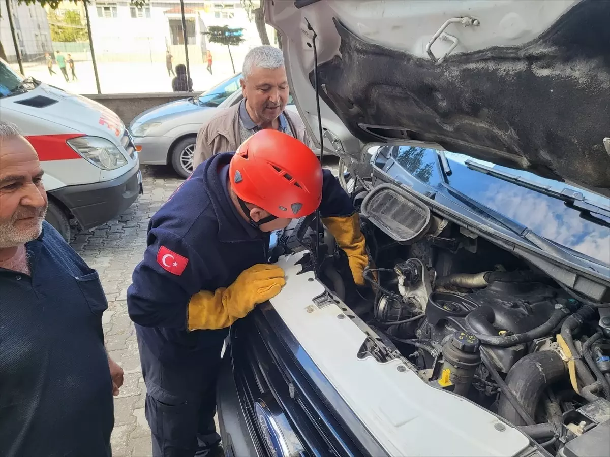 kedi minibusten kurtarildi nv5hneCp