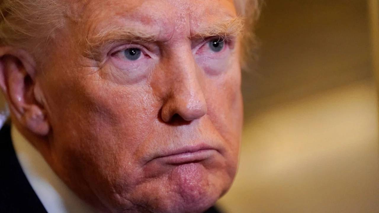 trumptan krallara hayir protestolarina tepki ulkemizi harika kilmak icin canimi disime takiyorum hepsi bu ben hic de kral degilim gb26Y6z2.webp