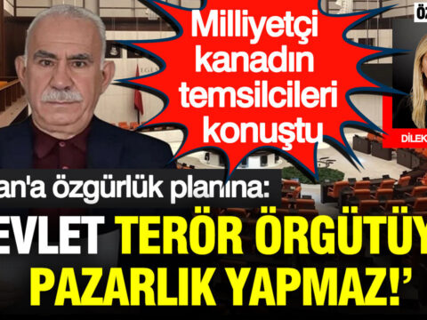 Haber gorseli