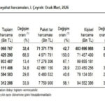 Mehmet simsekin siki politikasi ai qgee